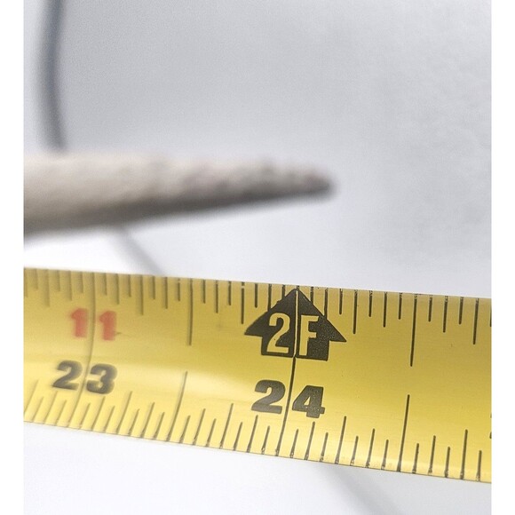 Jurassic World Destroy N Devour Indominus Rex Figure Light Sound FX Dinosaur - Picture 11 of 12